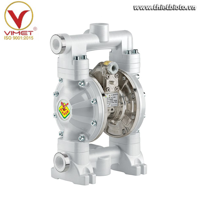 Thiết bị bơm màng 60 lít Raasm 2B3/16117HH5